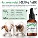 Bugalugs Hemp Oil Dog Calming Products 50ml- Nervous dog products for dog anxiety relief - Hemp oil for dogs uk & cats organic food supplements with omega 3 6 9 support hip joint & dog calming - Buy Online on GoSupps.com