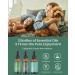 VTS Essential Oils Set - Peppermint Eucalyptus & Tea Tree Oil (1 Fl Oz) | Aromatherapy Massage Skin & Hair Care | Home Diffuser - Pack of 3 - Buy Online on GoSupps.com