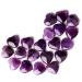 MAIBAOTA Amethyst Crystal Stone Healing Crystals Gemstones Pocket Gifts Heart-Shaped Nature Spiritual Energy Purple Crystals for Women Men Reiki Divination Balancing Yoga Meditation 10PCS