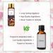 PHATOIL Fig Fragrance Oil for Home Aromatherapy, Soap & Candle Making - 10ml (Pack of 1) - Buy Online on GoSupps.com