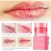 Lip Scrub Exfoliating Moisturizing with Lip Brush - Winter Lip Care for Plump Lips (One Size, Color) - Buy Online on GoSupps.com