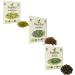SaatPur ORGANIC Sprouts Assortment 3 ORGANIC Varieties Fitness Mix Mixture - Mungo Mung Bean + Daikon Radish + Buckwheat