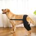 WOBBLO Dog Support Pet Leg Cover for Back Leg Pet Leg Wound Protector Hip Joint Support Protect Wounds for Dogs - Buy Online on GoSupps.com