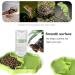 BEANPRECOY Reptile Water Dispenser Turtle Water Bowl 2 in 1 Reptile Automated Feeder Turtle Water Dispenser with Bottle for Turtles Hamsters Lizards Bearded Dragon Snake (Green) - Buy Online on GoSupps.com