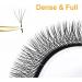 Costory Eyelash Extensions Cluster 4D Volume Lashes Easy Fanning False Lash Black Clover W-shaped Premade Fans Eyelash Extensions Supply 12 Rows (0.07 D Curl 9mm) 4D-007 D 9mm - Buy Online on GoSupps.com