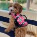 Vivaglory Ripstop Dog Rescue Vest - Camouflage Pink XXS (28-35cm) for Small & Medium Dogs - Enhanced Buoyancy & Visibility Perfect for Boating Adventures - Buy Online on GoSupps.com