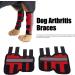 EVTSCAN 1 Pair Supportive Dog Leg Braces Reflective Designed Dog Front Leg Protector for Injury/Sprains/Instability/Anthritis(S-red) S Red - Buy Online on GoSupps.com