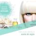 V lquer Oxygenated for Premium Ultra-Creamy Hair Dye 20 Vol (6%) 1000 Milliliters - Buy Online on GoSupps.com
