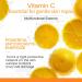 Face Sunscreen SPF 50+ Face Cream SPF 50 Face Suncream with Vitamin C Sun Protection Protects Against UVA/UVB and Premature Skin Ageing Dark Spots Waterproof Moisturising Cream For Daily Use - Buy Online on GoSupps.com