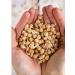 Spicy World Garbanzo Beans - Chickpeas Dried 4 LB Bag | All Natural & Sproutable | Ideal for Hummus | 1 Count Pack - Buy Online on GoSupps.com