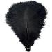 Sowder 10pcs Black Ostrich Feathers 12-14inch for Home Wedding Decoration - Buy Online on GoSupps.com