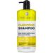 Clarifying Shampoo for Women and Men - Ideal for Oily Hair and Build Up - Gentle Moisturizing Sulfate Free Formula - Safe for Color Treated Curly Perms and Dry Scalps - Remove Chlorine for Swimmers