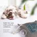 8-Pack Bamboo Charcoal Air Purifying Bags | Powerful Odor Absorber for Home & Car | Kid & Pet-Friendly Fresheners - Buy Online on GoSupps.com