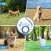 Mi Metty 20ft Tie Out Linen for Dogs - Shock-Damping Spring Leash for Medium to Large Dogs - Blue | Durable Courtyard Pet Leash - Buy Online on GoSupps.com