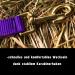 Halter for Warmblood Thoroughbred & Cold Blood Horses - Adjustable Safe Tearproof Stable & Pasture Halter for Shetland Pony (Purple) - Buy Online on GoSupps.com