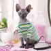 Sphynx Cat Summer T-Shirt | Breathable Cotton Vest for Hairless Cats | Soft, Stretchable & Skin-Friendly Apparel | Green Stripe Design | XL Size (9.9-11lbs) - Buy Online on GoSupps.com