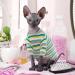 Breathable Summer T-Shirts for Hairless Cats | Soft & Skin-Friendly Cotton Clothing for Sphynx Cornish Rex & Devon Rex (M 5.5-6.6lbs) - Stylish Green Cat Pajama Jumpsuit - Buy Online on GoSupps.com