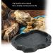 Baby Tortoise Water Dish Bathing Station for Outside Bearded Dragon Food Bowl Bowls Reptiles & Amphibians Feeding Slate Frog Gecko Giant African Land Snail Heepdd Reptile Large (Emerald Black) M Emerald Black - Buy Online on GoSupps.com