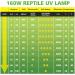 MIXJOY 160 Watt High Intensity Self-Ballasted UV/Heat Mercury Vapor Light Bulb UVA UVB Full Spectrum Sun Light for Reptile and Amphibian Use - Buy Online on GoSupps.com