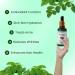 NaturalHerbo Moringa Seed Oil Pure, Cold Pressed, Oleifera Seed Oil | Behenic-Rich Herbal Oil for Skin, Hair, Scalp and Body, Fast-Absorbing Natural Moisturizer for Skin and Healthy Hair - 30 ML - Buy Online on GoSupps.com