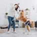 Buy Dono Reusable Dog Diapers - 3 Adjustable Washable Heat Pants for Bitches (Palm Leaves Size L) - Eco-Friendly Pet Care - Buy Online on GoSupps.com