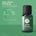 Woolzies Work Buddy Essential Oil Blends Set of 3 - 9-5 Energy Creative Genius & After Hours | 10 ML | Diffuser Massage & Topical Use | International Shipping - Buy Online on GoSupps.com