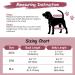 Soft Dog Diaper Trousers - 2 Pack Pet Clothing with Harness & Belly Tapes | Beige-Wine L - International Shipping - Buy Online on GoSupps.com