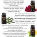 Aromatherapy Rose Essential Oil Set for Diffuser 100% Pure Lemon Essential Oil Kit for Humidifier 3x10ml Therapeutic Grade Eucalyptus Essential Oil Scent Set - Rose Lemon Eucalyptus Oil Kit for Home - Buy Online on GoSupps.com