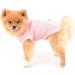 Paidful Soft Cotton Vest T-Shirt for Small & Medium Dogs - Breathable Summer Apparel in Pink for Puppies & Cats | Perfect for Young Girls - Size L - Buy Online on GoSupps.com