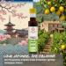 Umami Sauce Ponzu BIO 250ml - Assaisonnement Japonais au Soja et Agrumes Biologiques - Id al pour Sushi Poisson Gyoza et Salades - Sans Additifs - Buy Online on GoSupps.com