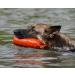 Romneys Standard Dummy 500 g Dog Fetch - Extremely Robust and Floating (Orange) - Buy Online on GoSupps.com