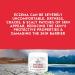 Reliefy Natural Eczema Cream | 10 fl. oz Moisturizing Repair Cream for Dry Sensitive Skin | Eczema Psoriasis Dermatitis Relief | Babies, Children & Adults | Steroids-free - Buy Online on GoSupps.com