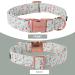 Unique Adjustable Paws Dog Collar & Leash Set | Stylish Collars for Small Medium & Large Dogs & Cats - Floral Design - Buy Online on GoSupps.com