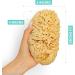 Buy XFO Sea Sponge - Natural Yellow 5.5in Loofah Alternative for Bathing & Exfoliating | All Natural USA Grown Sponges - Buy Online on GoSupps.com
