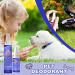 Dental Fresh Water Additive | Healthy & Natural Dog Teeth Spray | Dogs Breath Eliminator for Dogs Cats | Help Whiten Teeth & Improve Oral Health 12b - Buy Online on GoSupps.com