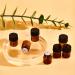 100Pcs Mini Amber Glass Essential Oil Sample Bottles - Refillable 1ml Brown Perfume Bottles for Travel - Perfect for DIY and Aromatherapy - Buy Online on GoSupps.com