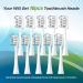 Replacement Toothbrush Heads for Gleem Electric Toothbrush - 10 Count Refills Compatible & Ideal for Superior Oral Care - Buy Online on GoSupps.com