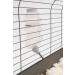 Lixit Top Fill No Drip Water Bottle 32oz Clear - Ideal for Rabbits, Ferrets, Hamsters, and More Small Animals - Buy Online on GoSupps.com