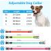 Buy PCEOTLLAR Adjustable Lumplan LED Dog Collar - Reflective & Flashing for Large Medium Small Dogs - Blue (M: 38-50cm) - Buy Online on GoSupps.com