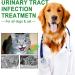 Cat & Dog Natural Urinary Tract Drops - Infection Treatment with Cranberry+Echinacea - Kidney & Bladder Support Supplement - Urine Incontinence & Bladder Stones - Pet Renal Health - Buy Online on GoSupps.com