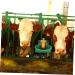 Beavorty Farmhouse Plastic Dispenser Livestock Drinking Feeder Bowl Animals Waterer Automatic - Buy Online on GoSupps.com
