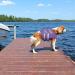 Kuoser Dog Life Jacket | Durable & Buoyant Swim Vest for Small to Large Dogs | High Safety Dog Swimming Vest - Purple XS - Buy Online on GoSupps.com