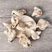 The Tuber of Hyacinth Bletilla Bletilla Striata bletilla Anacamptis Tuber Bletillae Bletilla Hyacinthina Reichb Hyacinth Bletilla Genus Bletilla baiji bletilla Striata (1000grams) - Buy Online on GoSupps.com