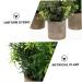 Zerodeko 3pcs Artificial Bonsai House Plants Para De Mujer Interior Flower Pots Indoor Faux Aloe Plant House Plant Pots Fake Ceramic Planter Plastic Household Small Potted Plants Office - Buy Online on GoSupps.com