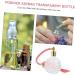 HONMEET 1pc Air Bag Perfume Bottle Perfume Bottle Pump Spray Perfume Vials Pump Perfume Bottle Bulb Vitroleros Para Mini Perfume Travel Glass Cosmetic Water Vessel 10.5X7.6CM Pink - Buy Online on GoSupps.com