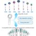 6-Piece Electric Toothbrush Travel Case Set | Durable Hard Case with Caps for Trips & Business Travel - Buy Online on GoSupps.com