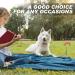Super Floor Anchor Dog Leash | Earth Anchor & Skewers for Large Dogs | Red Spike for Beach Use - Buy Online on GoSupps.com