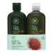 Paul Mitchell Tea Tree Special Color-Preserving Gift Set