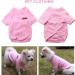 Buy Hualisiji Fleece Dog Sweater - Warm & Lightweight for Small Dogs | XL 2PCs Gray & Pink | Cozy Sweatshirt for Pets - Buy Online on GoSupps.com