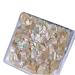 Irregular Shell Slices Nail Supplies Colorful Shell Nail Art Slices 3D Nail Art Flakes For Manicure Decoration DIY Nail Art Shells natural color